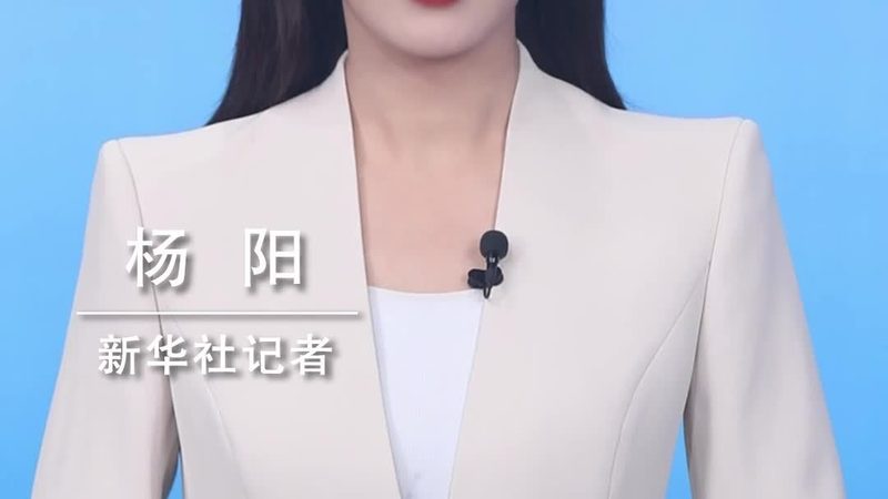 企业数字化安全风险评估：如何构建稳固的防线**